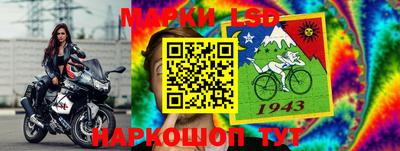 a pvp Заводоуковск