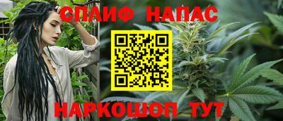 молекула духа Заволжье
