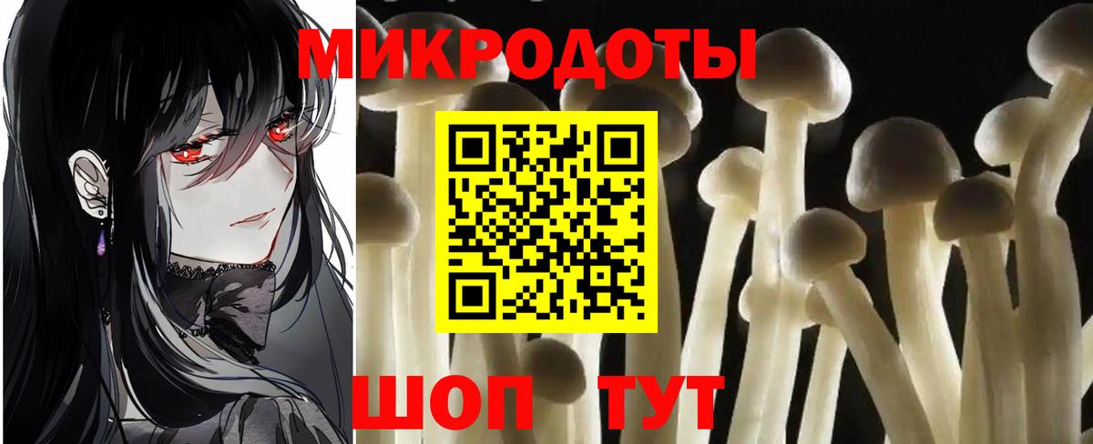 Ессентуки  Псилоцибиновые грибы GOLDEN TEACHER  Вход с VPN 